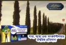 সত্য, আস্থা এবং সৎকর্মশীলতার ঐশ্বরিক প্রতিদান!